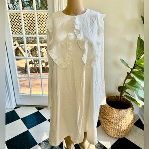 Zara Combined Collar Dress (NWT)